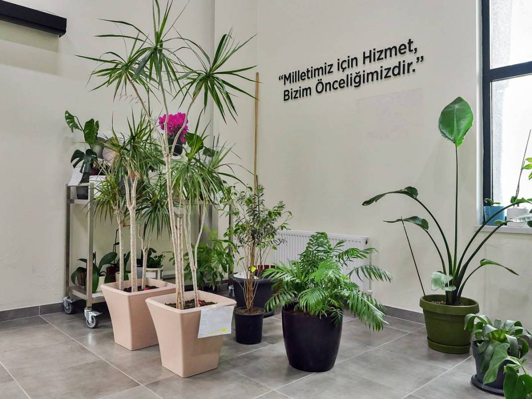 Etimesgut'ta çiçekler yeniden açıyor! Çiçek Hastanesi tam not aldı 7